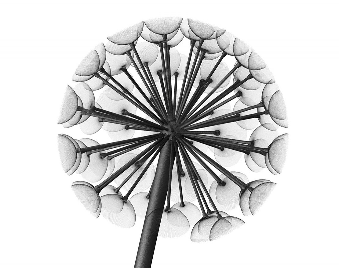 Фонарь уличный Данди 4м/1000 - вид 4